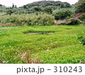 崎戸町トンボ公園