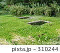 崎戸町トンボ公園