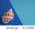 貝殻