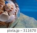 貝殻