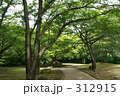 緑道　散歩　