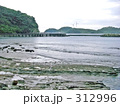 岩礁海岸