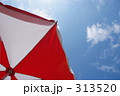 夏のパラソル