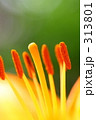 f0884