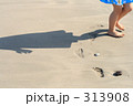 夏イメージ