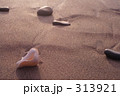 夏の浜辺