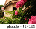 紫陽花のある風景（昭和の残像）