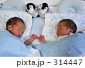 双子とペンギン3