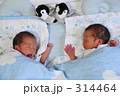 双子のお昼寝
