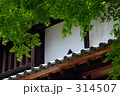 日本の夏