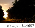黄昏の道