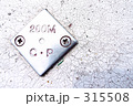 315508