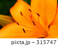 ｆ0887