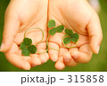 みてみて♪happy eco クローバー