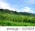 空と緑