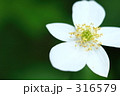 二股一華
