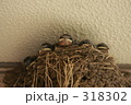 つばめ