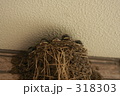 つばめ