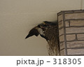 大変だね