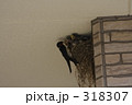 子育て