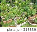 家庭菜園