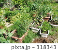 家庭菜園