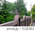 鳩