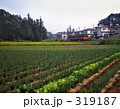 鉄道・私鉄　流山電鉄　昭和５８年　0812