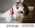 なにしてる？