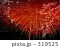 共演