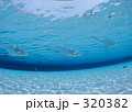 320382