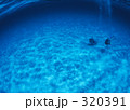 320391