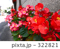 路傍の花　in　目黒区