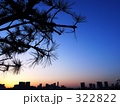 お台場から眺めるビル群