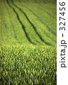 327456