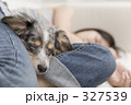 327539
