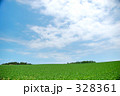 無題 328361