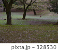 暮れゆく森に鹿の草食む