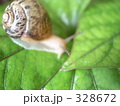 かたつむり