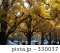 330037