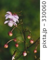 330060