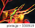 330919