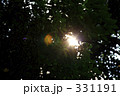 木洩れ日、夏の白昼