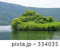 緑の島