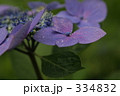 素材ナンバー 334832 : 「無題」