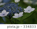 素材ナンバー 334833 : 「無題」