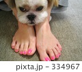 乾くまで待ってね★
