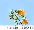 梅雨明け