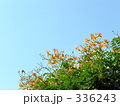 梅雨明け