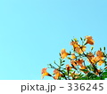 梅雨明け